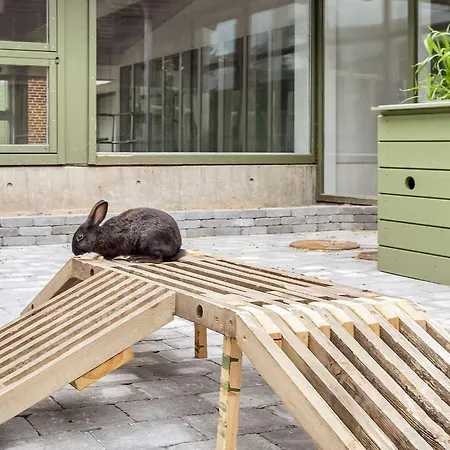 Vegso Premium Retreat *